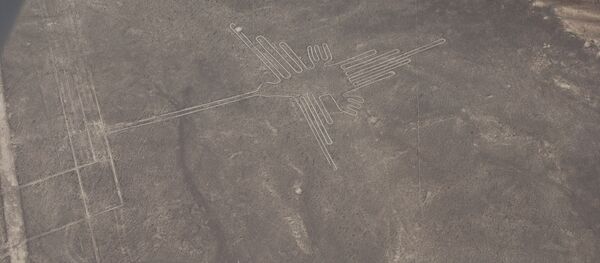 日本の学者ら、ペルーに新たな巨大地上絵を見つける - Sputnik 日本