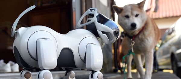 ロボット犬「アイボ」 ロボット犬「アイボ」 - Sputnik 日本