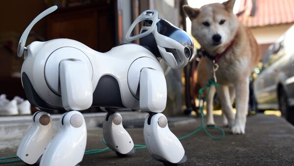 ロボット犬「アイボ」 - Sputnik 日本