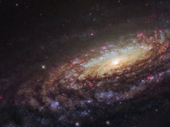 ペガスス座の方角にある渦巻銀河「NGC 7331」 - Sputnik 日本