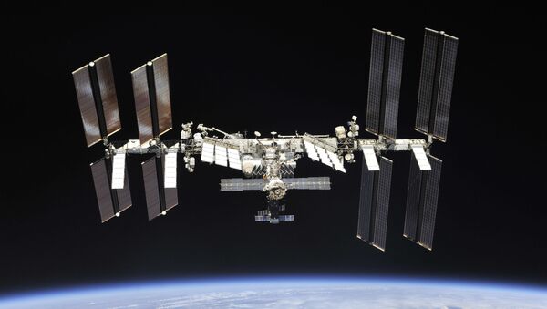 Международная космическая станция - Sputnik 日本