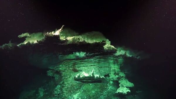 Обнаруженная экосистема Jaich Maa в бассейне Пескадеро в южной части Калифорнийского залива - Sputnik 日本