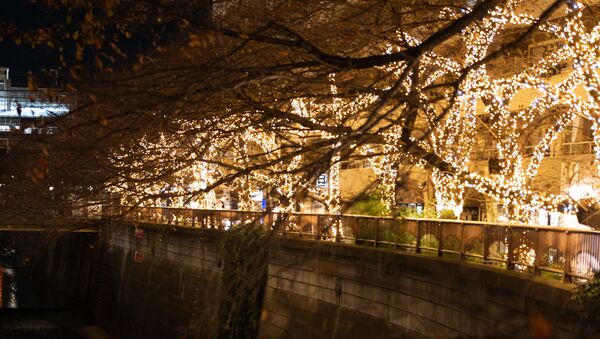 クリスマスを祝うに相応しい装飾が施された東京の街路 - Sputnik 日本