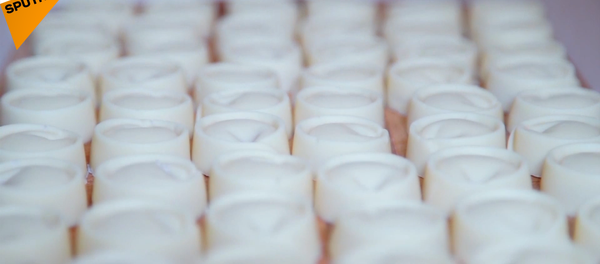 チョコレート、ペリメニ、ウォッカを一つにしたらどうなる? チョコレート、ペリメニ、ウォッカを一つにしたらどうなる? - Sputnik 日本