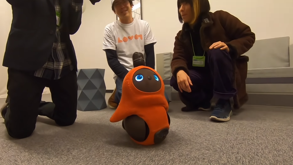 日本企業、新ロボットを開発　可愛いペンギン似、だが何もできず - Sputnik 日本
