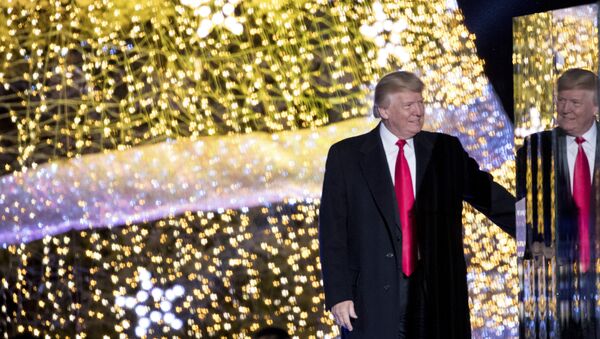 米国　男性がホワイトハウスの大クリスマスツリーに登る【動画】 - Sputnik 日本
