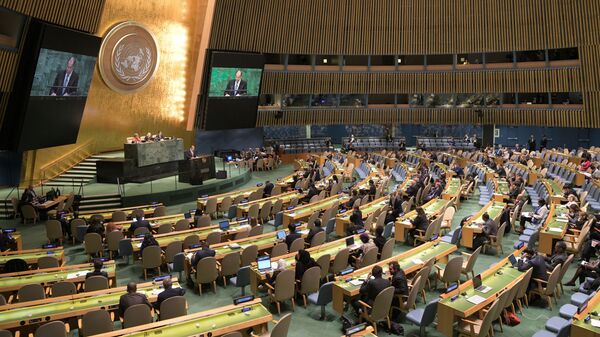 国連総会の反ロシア非難決議は危機の解決に繋がらない＝中国国連副大使 - Sputnik 日本