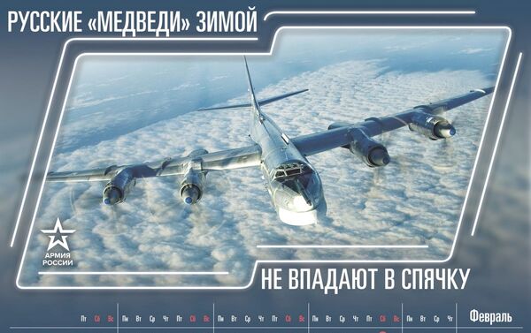 ロシアの「クマ」は冬眠しない - Sputnik 日本