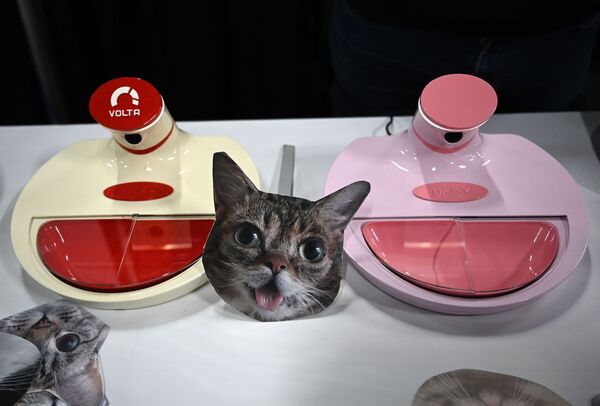 飼い猫用スマート皿 - Sputnik 日本