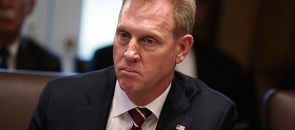 シャナハン米国防長官代行、予告なしにアフガニスタンを訪問 - Sputnik 日本