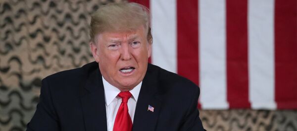 トランプ大統領、露中に軍事支出の削減を呼びかける - Sputnik 日本