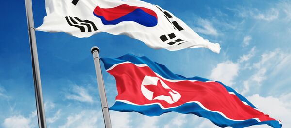 韓国、北朝鮮の国旗 韓国、北朝鮮の国旗 - Sputnik 日本