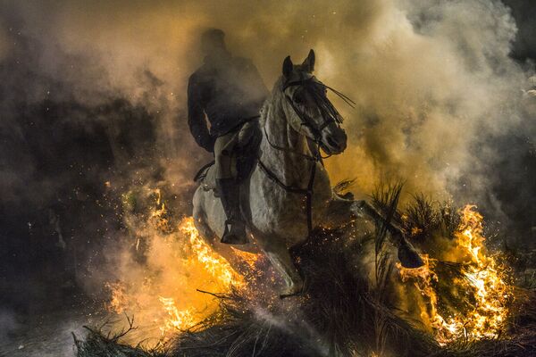 スペインで毎年恒例のフェスティバルで、馬と騎手が炎を駆け抜ける - Sputnik 日本
