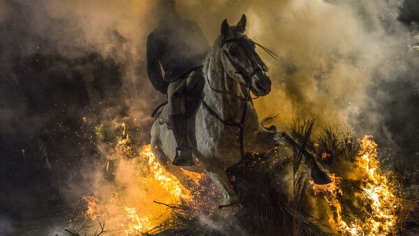 スペインで毎年恒例のフェスティバルで、馬と騎手が炎を駆け抜ける - Sputnik 日本