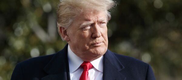 トランプ大統領、経済の急速な進歩と世界最強の軍について述べる トランプ大統領、経済の急速な進歩と世界最強の軍について述べる - Sputnik 日本