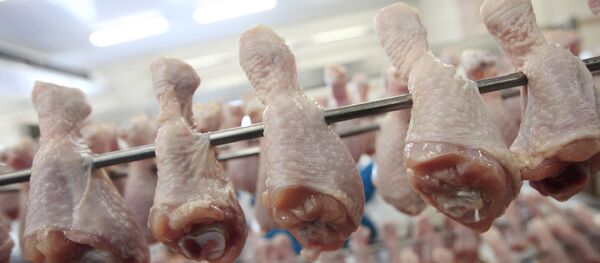 鶏肉【アカーイブ写真】 鶏肉【アカーイブ写真】 - Sputnik 日本