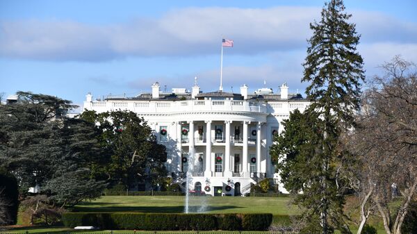 米大統領はノルドストリーム2の稼働阻止を目指した、破壊は命じていない＝ホワイトハウス - Sputnik 日本