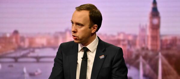 英保険相、国内のＳＮＳブロッキングと警告 - Sputnik 日本