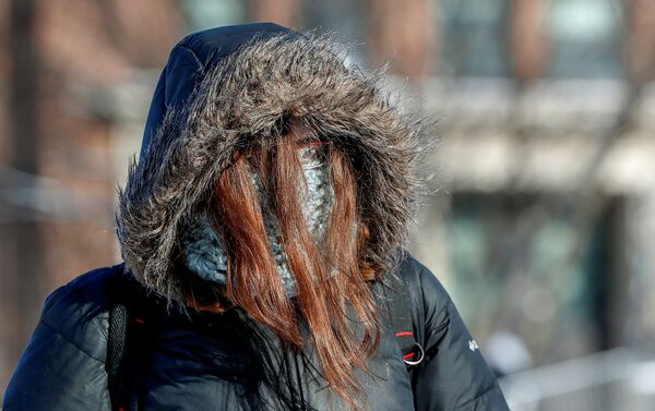 異常寒気が米国を襲来　シカゴの体感気温はこの先マイナス４６度に - Sputnik 日本