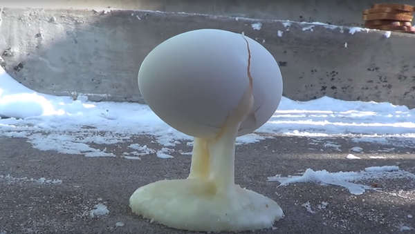 極寒の中で卵を割ると、インスタレーション作品ができる！ - Sputnik 日本