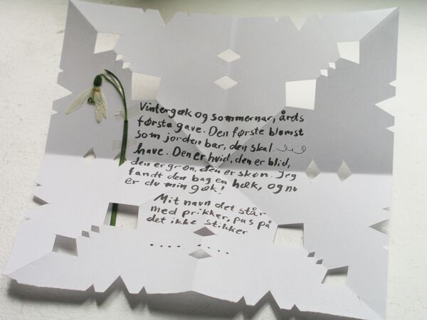 デンマーク、ノルウェーではバレンタインデーには男性から女性に匿名のラブレターが贈られる - Sputnik 日本