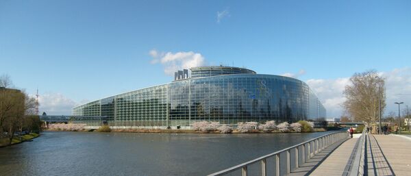 ロシア憲法裁判所、欧州人権裁判所の決定に真っ向から反対 ロシア憲法裁判所、欧州人権裁判所の決定に真っ向から反対 - Sputnik 日本