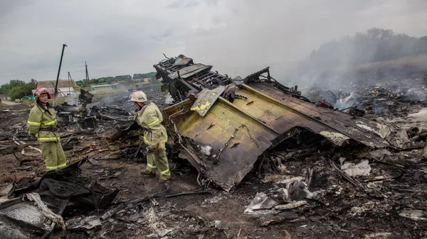 日本人専門家：MH17便はウクライナ上空で撃墜。しかし同国の罪を誰も話さない