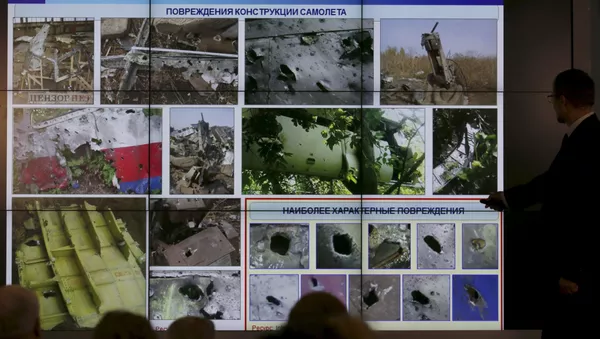 マレーシア航空機MH17便墜落から1年 - Sputnik 日本