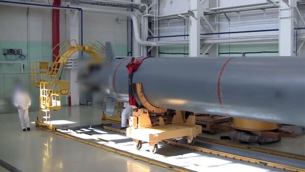 ロシアの海中無人機「ポセイドン」 - Sputnik 日本