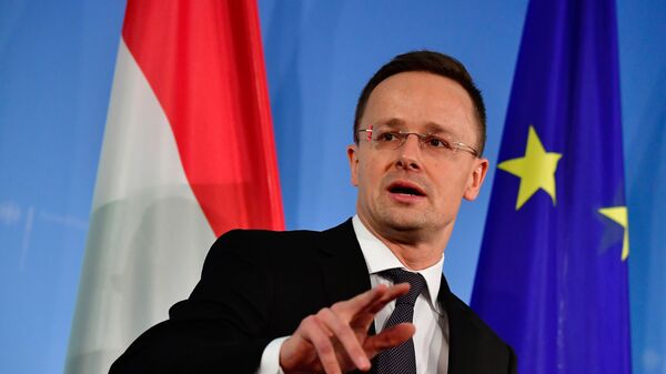 ハンガリー外相、NATOにロシアとの交渉ルートの維持を呼びかけ - Sputnik 日本
