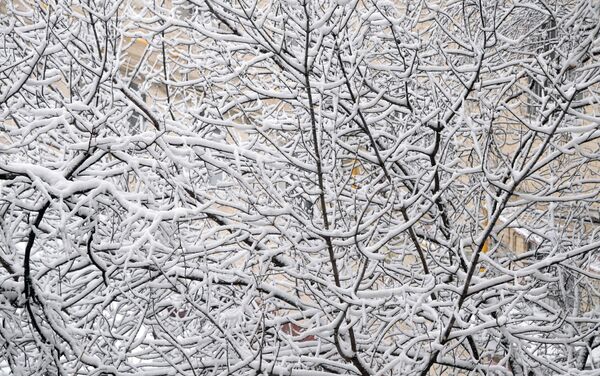雪に覆われたモスクワ - Sputnik 日本
