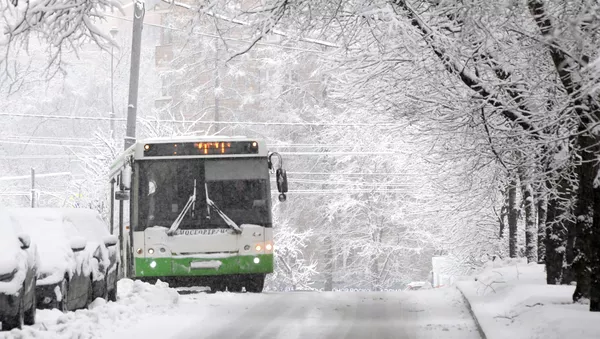 雪に覆われたモスクワ 雪に覆われたモスクワ