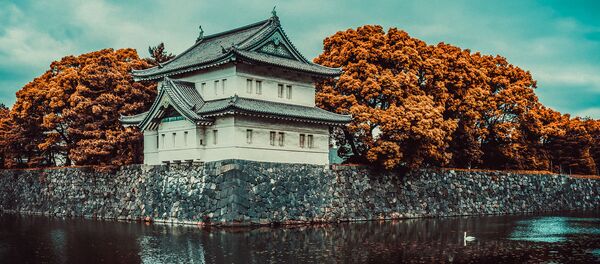 資料写真 - Sputnik 日本