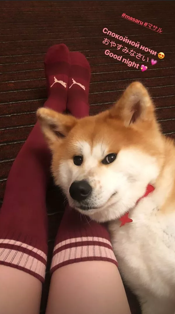 マサル マサル
