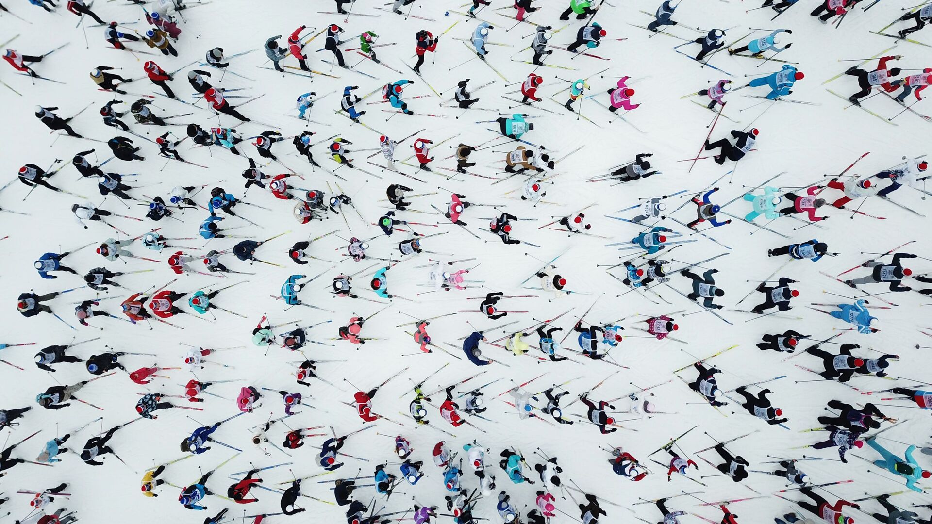 Участники на дистанции Всероссийской массовой лыжной гонки Лыжня России - 2019 в Московской области  - Sputnik 日本, 1920, 09.02.2022