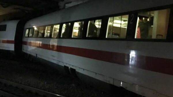 スイスで列車が脱線 - Sputnik 日本