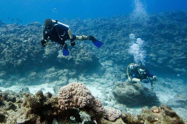 モーリシャス島は、サンゴ礁で囲まれているため、マスクをして泳ぐと楽しい - Sputnik 日本