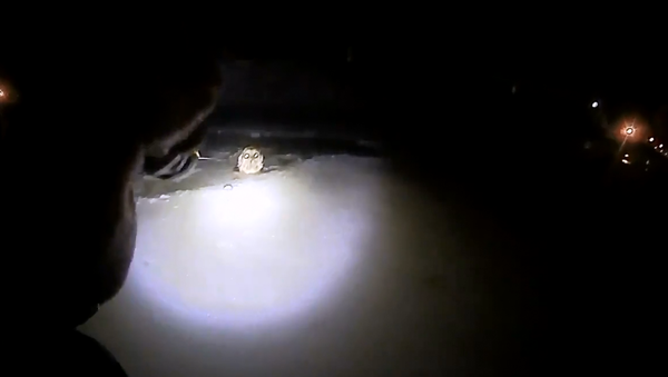 米警官、氷水に落ちた犬を救出 - Sputnik 日本