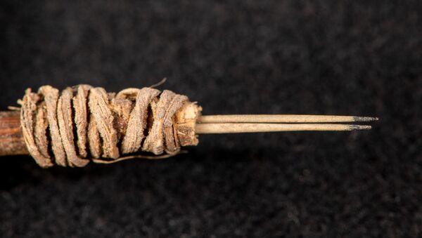 最古のタトゥー用具、北米で考古学者らが発見 - Sputnik 日本
