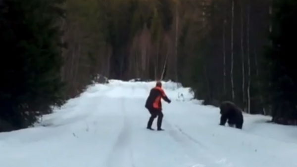 スウェーデン男性、襲ってきたクマを撃退 - Sputnik 日本