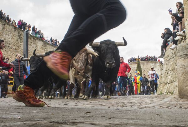 牛追い祭で牛と走る人々, スペイン - Sputnik 日本