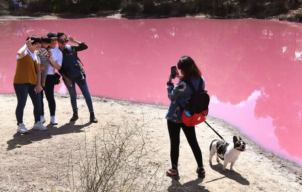 高い気温と高い塩分濃度のためピンク色になった湖のほとりで写真撮影。オーストラリア - Sputnik 日本