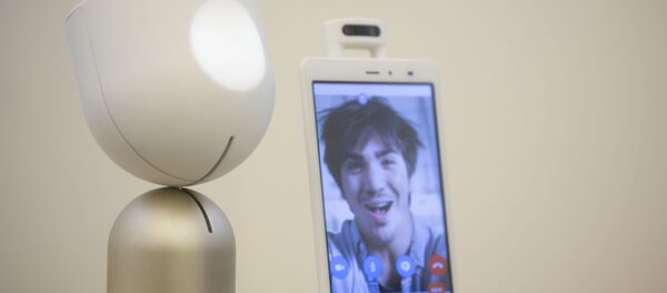 孫レンタルとコンパニオンロボ 年金生活者を孤独から救うお手伝い 孫レンタルとコンパニオンロボ 年金生活者を孤独から救うお手伝い - Sputnik 日本