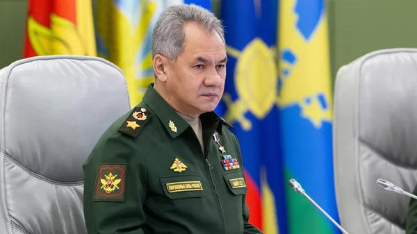 ロシアのショイグ国防相