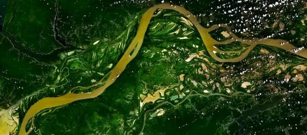 アマゾン アマゾン - Sputnik 日本