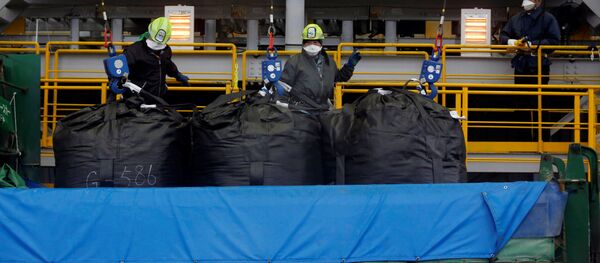 福島周辺の放射性土壌の浄化 - Sputnik 日本