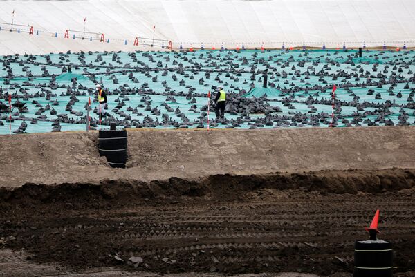 グリーンピース　日本は福島周辺の放射性土壌の浄化に対応できない - Sputnik 日本