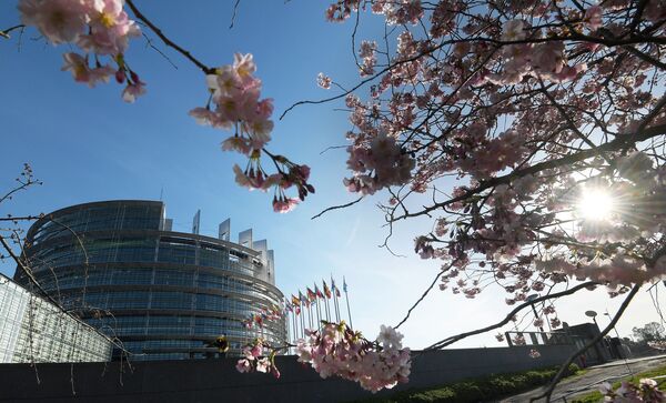 フランス・ストラスブールにある欧州議会の近くの桜 - Sputnik 日本