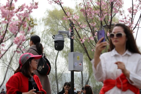 中国北京市で桜を楽しむ人々 - Sputnik 日本