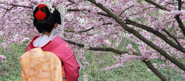 隈取の世界、ロシアで初めて紹介 隈取の世界、ロシアで初めて紹介 - Sputnik 日本